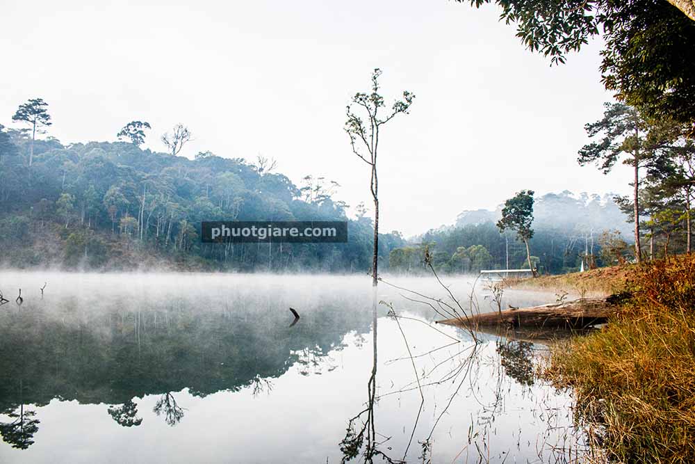 Đà Lạt – săn sương ở hồ Tuyền Lâm
